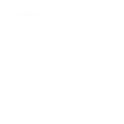 American Peanut Council